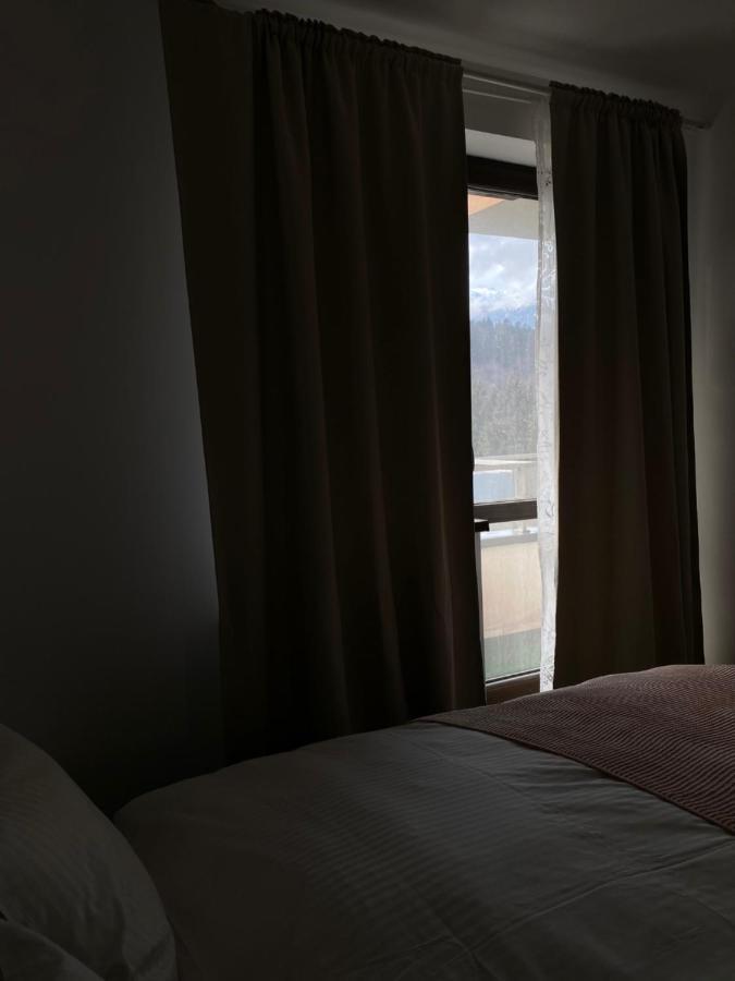 Ioana'S Apartament Apartment Синая Екстериор снимка
